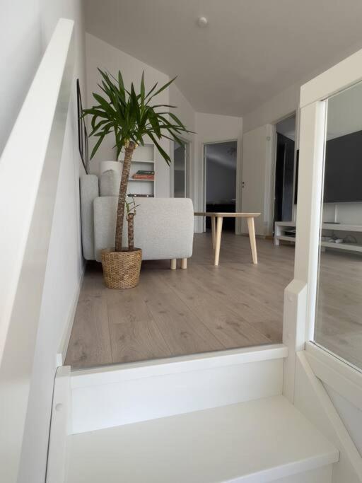 Top Floor Apartment Arossanden 5 A Kristiansand Ngoại thất bức ảnh